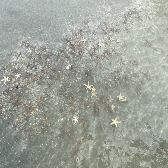 Meet your Posher, Mckayla - Picture 1 of 1